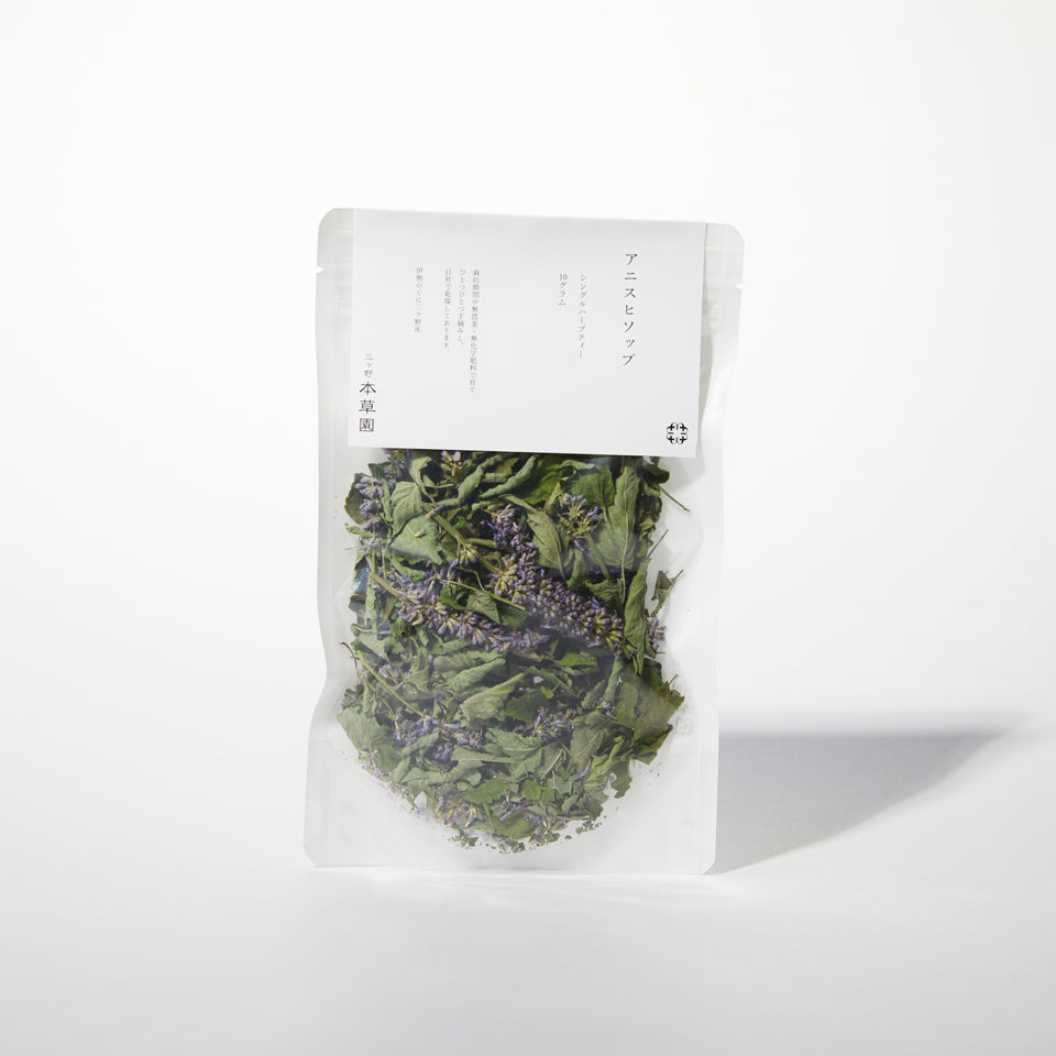 アニスヒソップ|Anise Hyssop