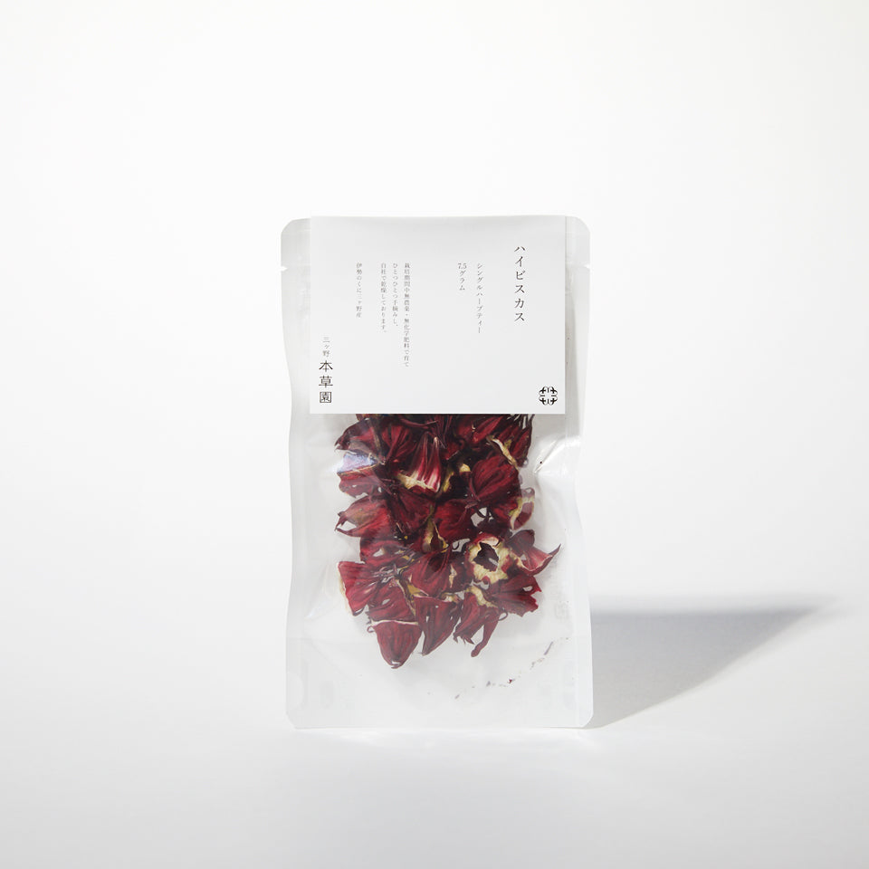 ハイビスカス|HIBISCUS