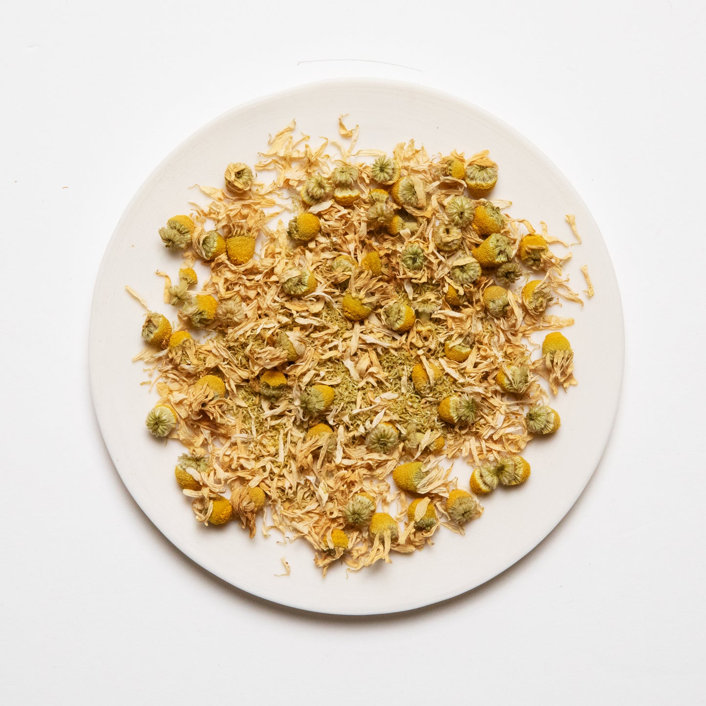 ジャーマンカモミール｜ GERMAN CHAMOMILE