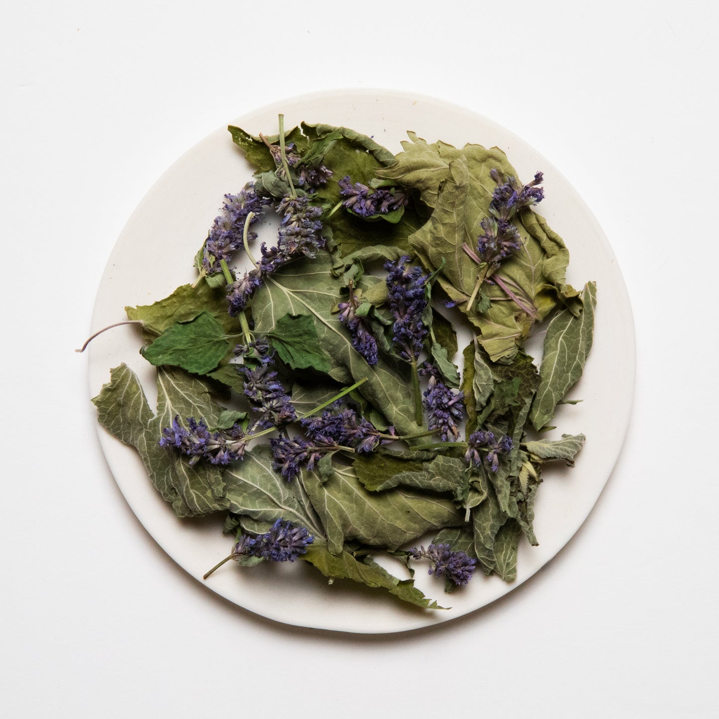 アニスヒソップ｜Anise Hyssop