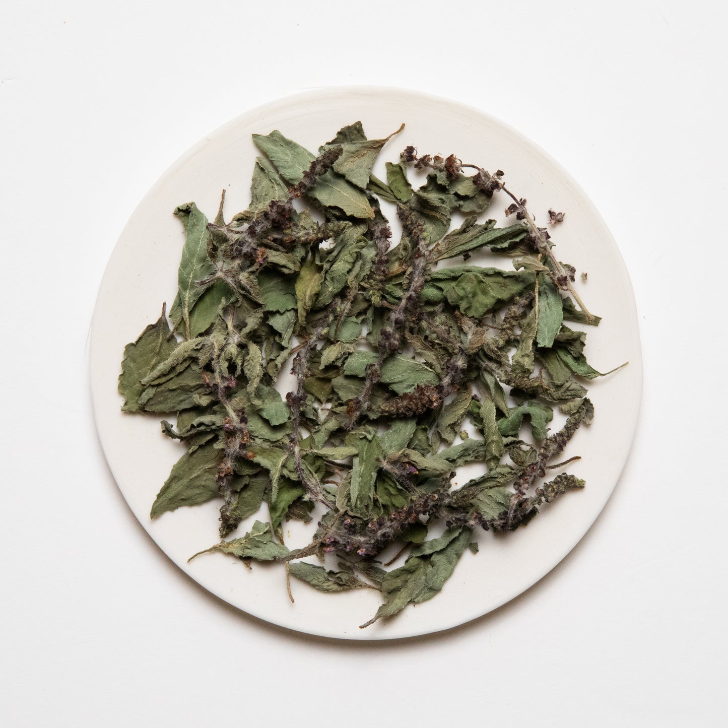 ホーリーバジル｜HOLY BASIL